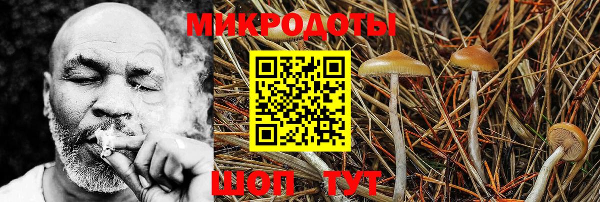 Галлюциногенные грибы прущие грибы  Галлюциногенные грибы мухоморы  Вход с VPN  Кубинка 