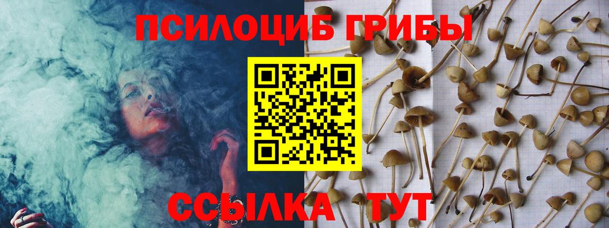 Псилоцибиновые грибы Magic Shrooms Кубинка