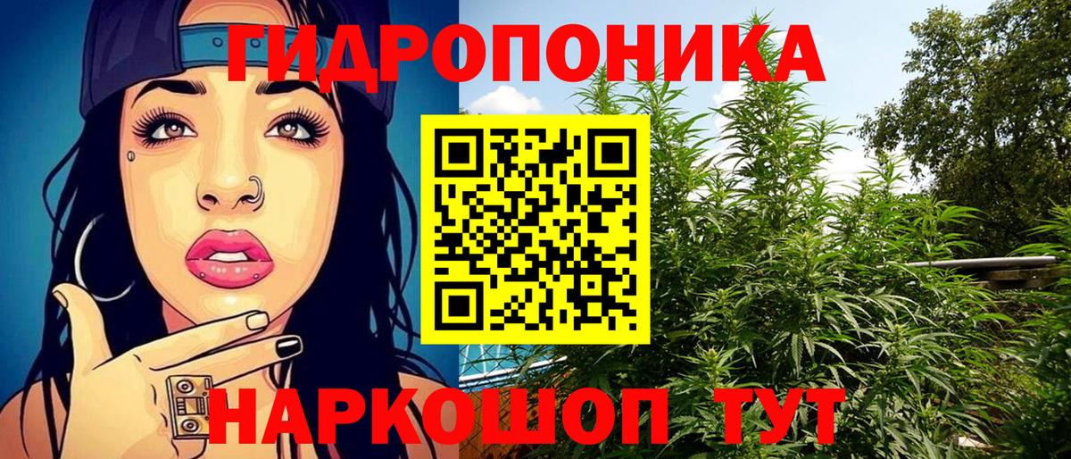 Каннабис MAZAR  Каннабис ГИДРОПОН  Бошки Шишки индика  Кубинка  Вход с VPN 